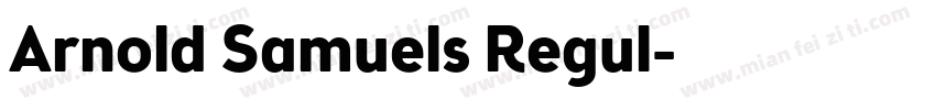 Arnold Samuels Regul字体转换